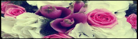 fioraio