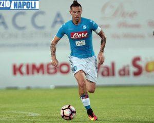 HAMSIK2