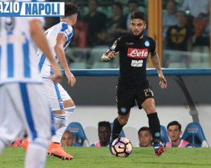 insigne