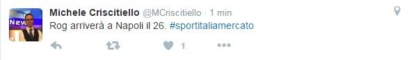 tweet criscitiello