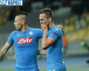 milik hamsik