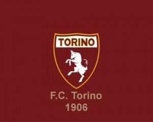 13Torino-Logo