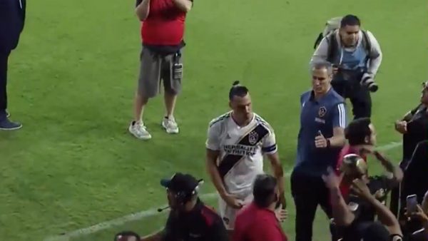 Ibrahimovic gestaccio