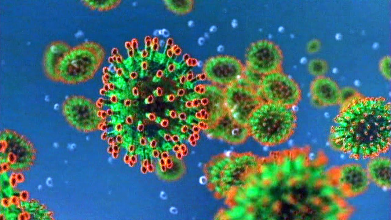coronavirus napoli