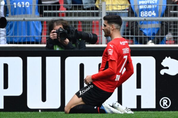 Terrier Napoli Rennes