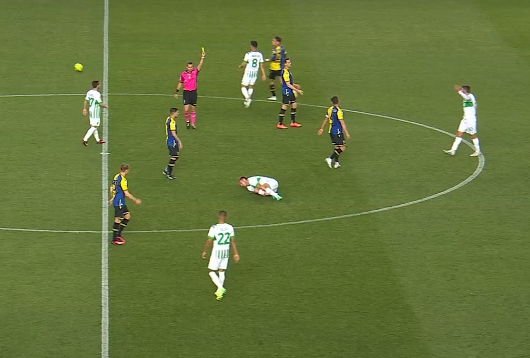 Miguel Veloso Verona