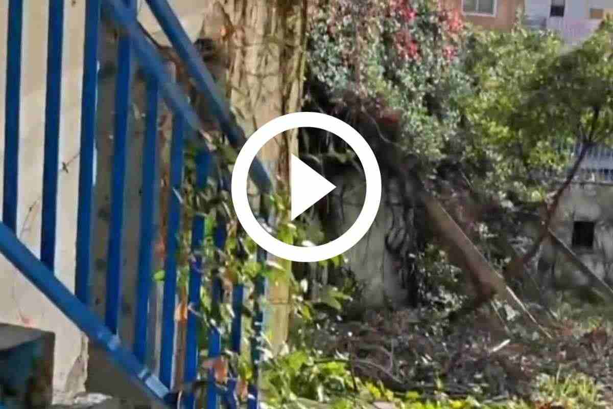 Centro Paradiso immerso nel degrado