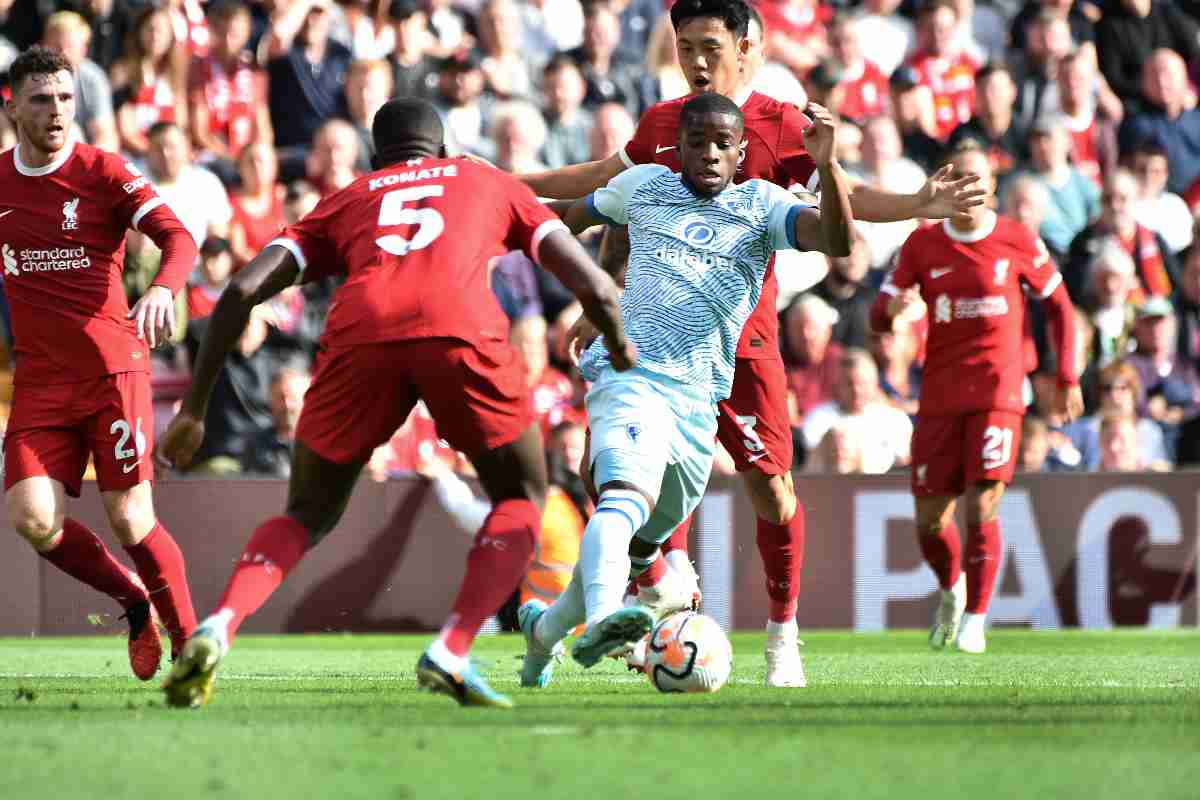 Traorè al Napoli, chi ha spinto per l'acquisto