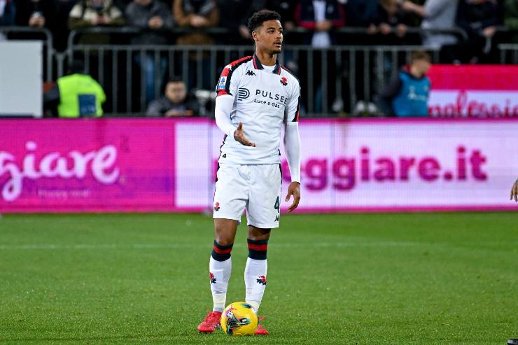 Koni De Winter in campo