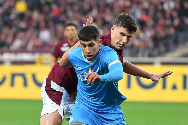 Oliveira in vendita. 