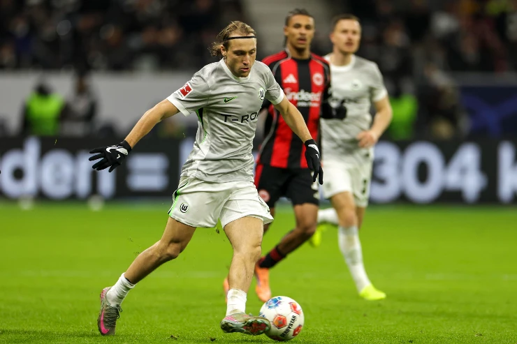 Majer in campo